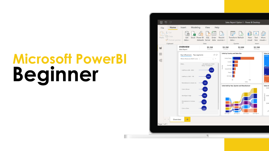 Microsoft PowerBI Beginner